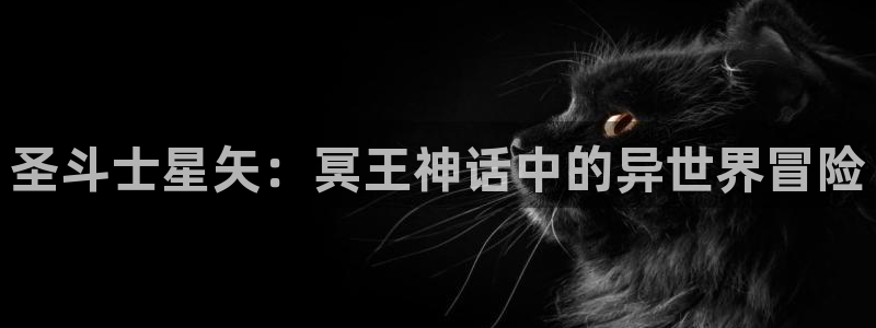 漫蛙漫画官方页面：圣斗士星矢：冥王神话中的异世界冒险