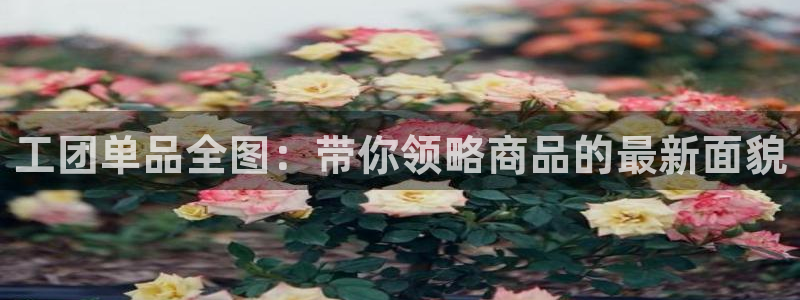 漫蛙漫画正版入口：工团单品全图：带你领略商品的最新面貌