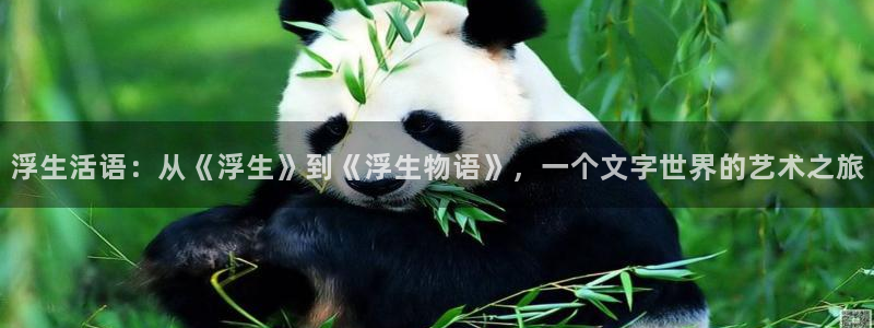 漫蛙漫画 下载：浮生活语：从《浮生》到《浮生物语》，一个文字世界的艺术之旅