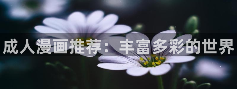 漫蛙漫画官：成人漫画推荐：丰富多彩的世界