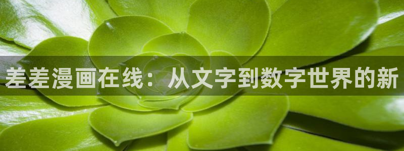 漫蛙漫画下载app软件：差差漫画在线：从文字到数字世界的新